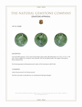 12.96 Ct. Green Jade from Burma (Myanmar) Appraisal