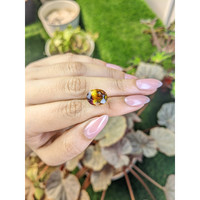 7.45 Ct. Bi Color Ametrine from Brazil Life Style