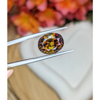 7.30 Ct. Bi Color Ametrine from Brazil Life Style