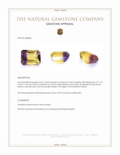 6.01 Ct. Bi Color Ametrine from Brazil Appraisal