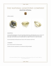 1.20 Ct. Yellow Zircon from Ceylon (Sri Lanka) Appraisal