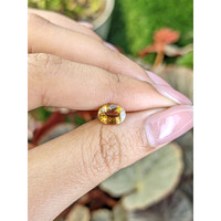 1.26 Ct. Orange Zircon from Ceylon (Sri Lanka) Life Style