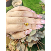 1.26 Ct. Orange Zircon from Ceylon (Sri Lanka) Life Style