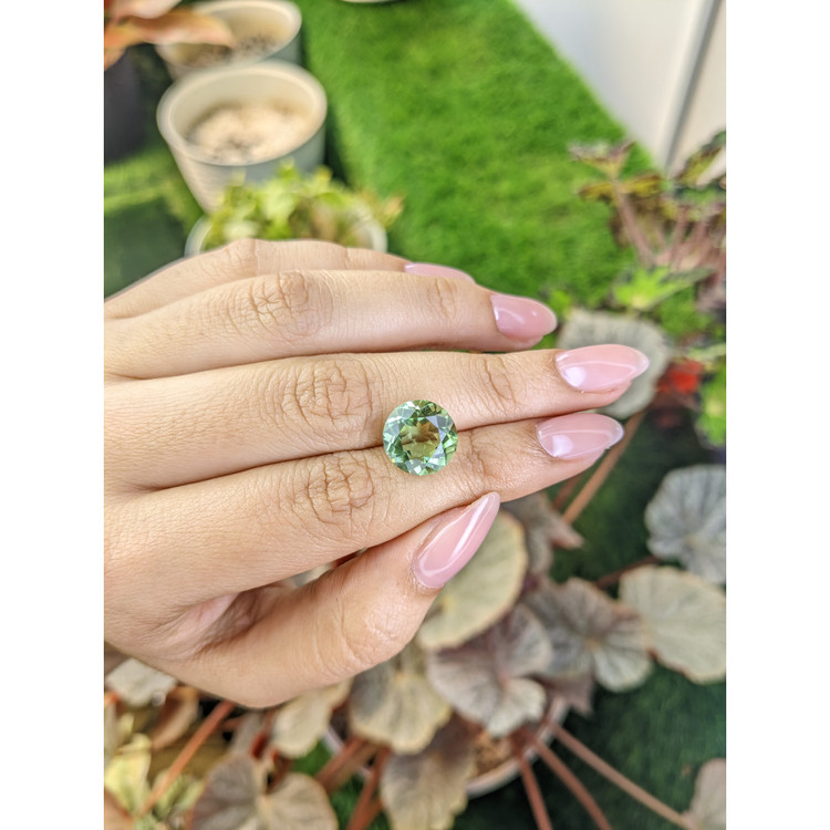 5.65 Ct. Green Prasiolite from Brazil