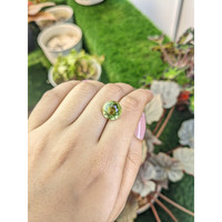 5.65 Ct. Yellowish Green Prasiolite from Brazil Life Style