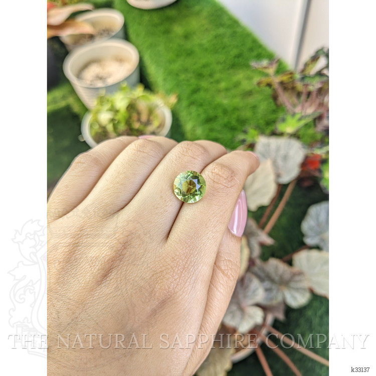 5.65 Ct. Yellowish Green Prasiolite from Brazil