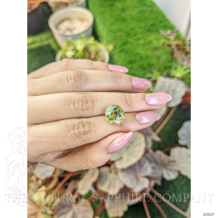 5.65 Ct. Yellowish Green Prasiolite from Brazil