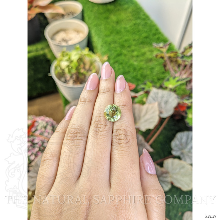 5.65 Ct. Yellowish Green Prasiolite from Brazil