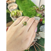 5.47 Ct. Yellowish Green Prasiolite from Brazil Life Style