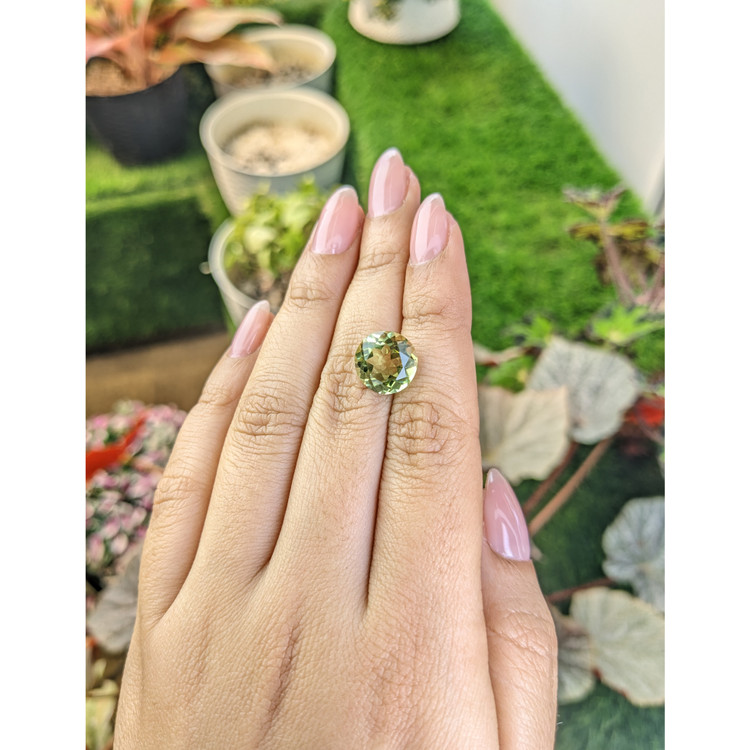 5.47 Ct. Yellowish Green Prasiolite from Brazil