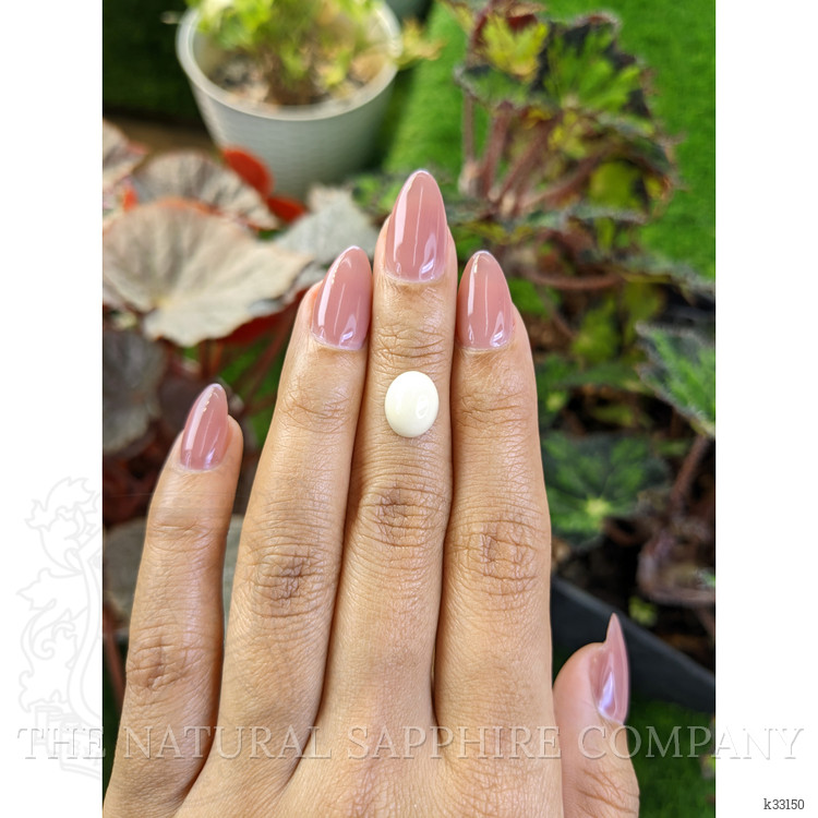 3.03 Ct. Salmon and White Cabochon Coral from Italy
