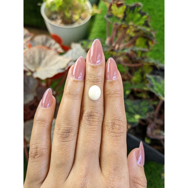 3.03 Ct. Salmon and White Cabochon Coral from Italy