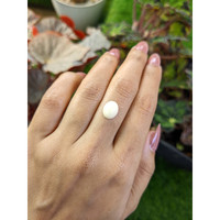 3.03 Ct. Salmon and White Cabochon Coral from Italy Life Style