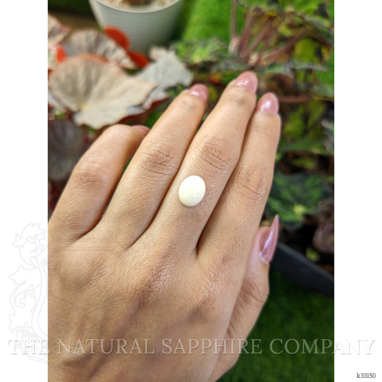 3.03 Ct. Salmon and White Cabochon Coral from Italy