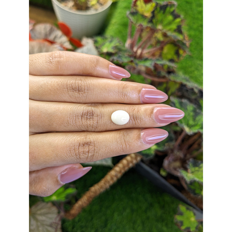 3.03 Ct. Salmon and White Cabochon Coral from Italy
