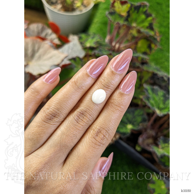 3.03 Ct. Salmon and White Cabochon Coral from Italy