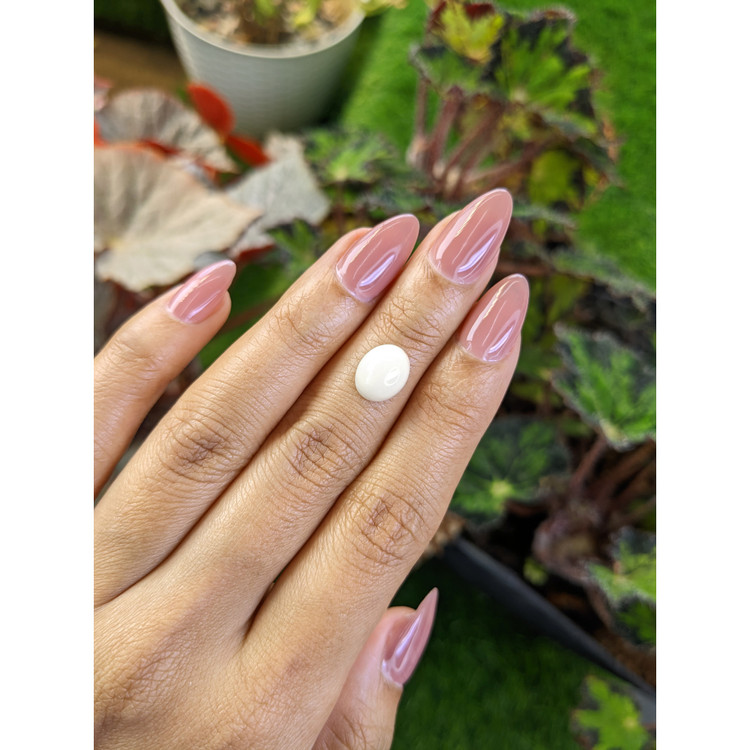 3.03 Ct. Salmon and White Cabochon Coral from Italy