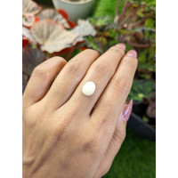 2.66 Ct. Salmon and White Cabochon Coral from Italy Life Style