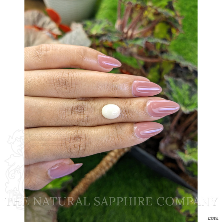 2.66 Ct. Salmon and White Cabochon Coral from Italy