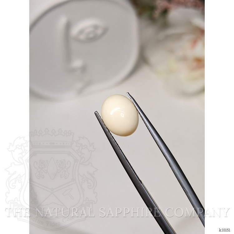 2.66 Ct. Salmon and White Cabochon Coral from Italy