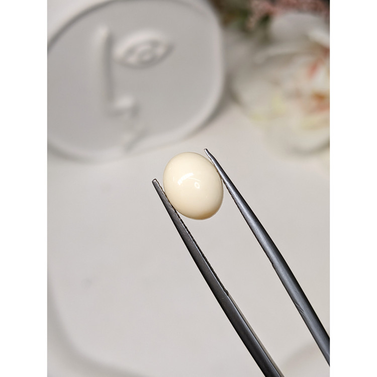 2.66 Ct. Salmon and White Cabochon Coral from Italy