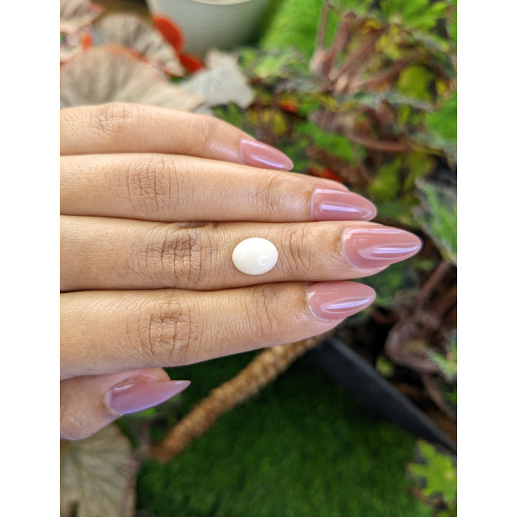 2.30 Ct. Salmon and White Cabochon Coral from Italy