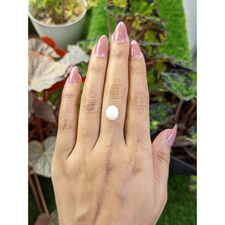 2.30 Ct. Salmon and White Cabochon Coral from Italy