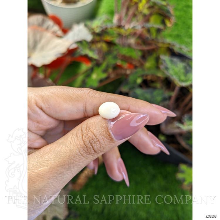 2.65 Ct. Salmon and White Cabochon Coral from Italy
