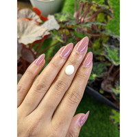 2.65 Ct. Salmon and White Cabochon Coral from Italy Life Style