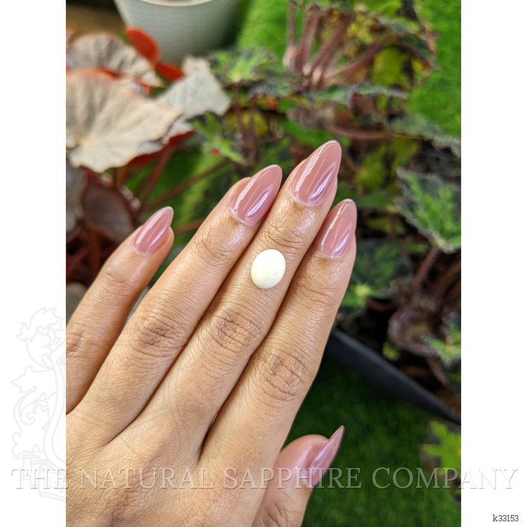 2.65 Ct. Salmon and White Cabochon Coral from Italy