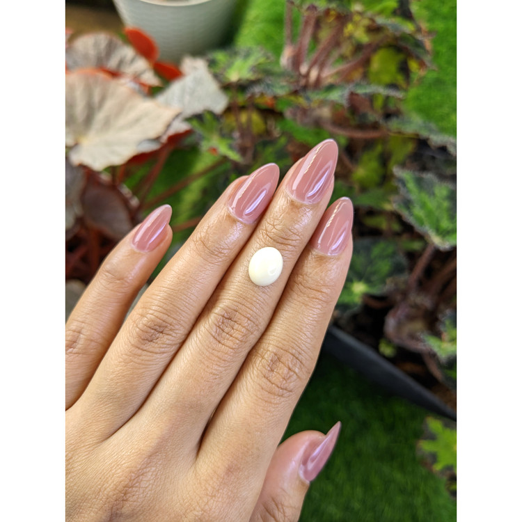 2.65 Ct. Salmon and White Cabochon Coral from Italy