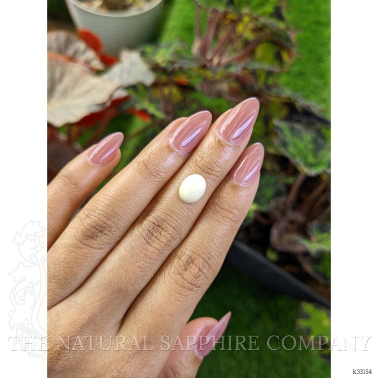 2.72 Ct. Salmon and White Cabochon Coral from Italy