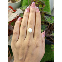 1.99 Ct. Salmon and White Cabochon Coral from Italy Life Style