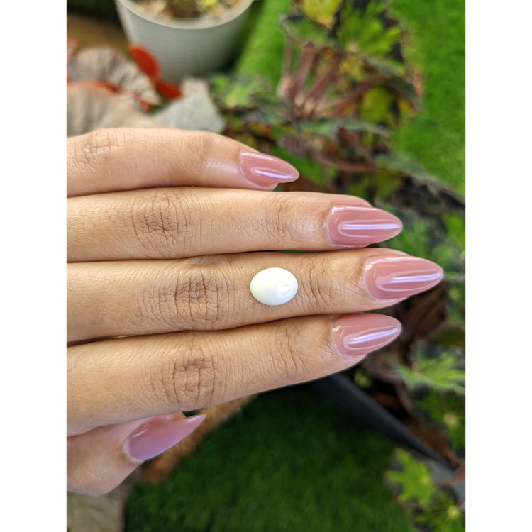 1.99 Ct. Salmon and White Cabochon Coral from Italy
