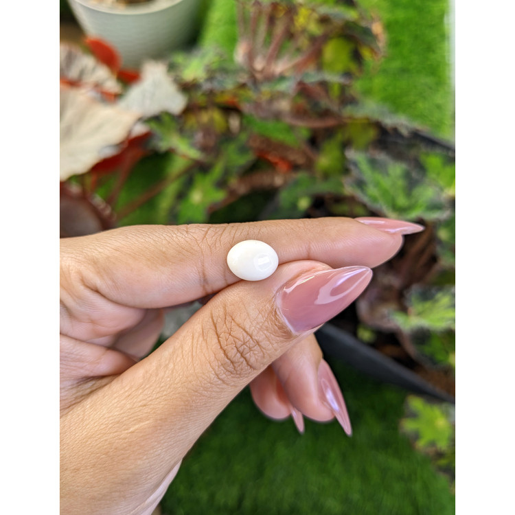 1.99 Ct. Salmon and White Cabochon Coral from Italy