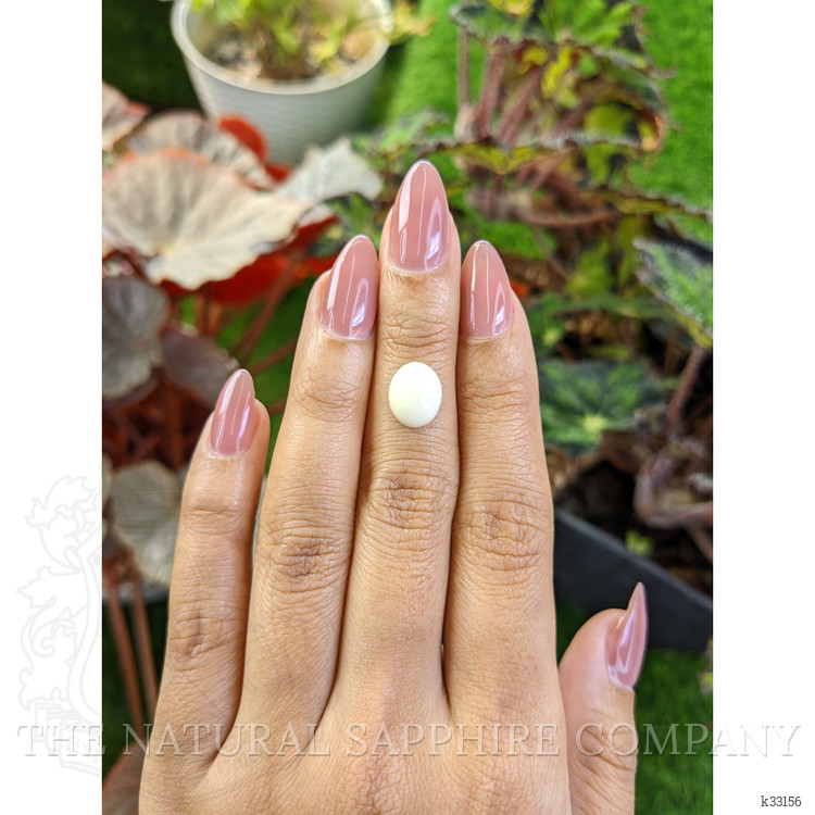 2.37 Ct. Salmon and White Cabochon Coral from Italy