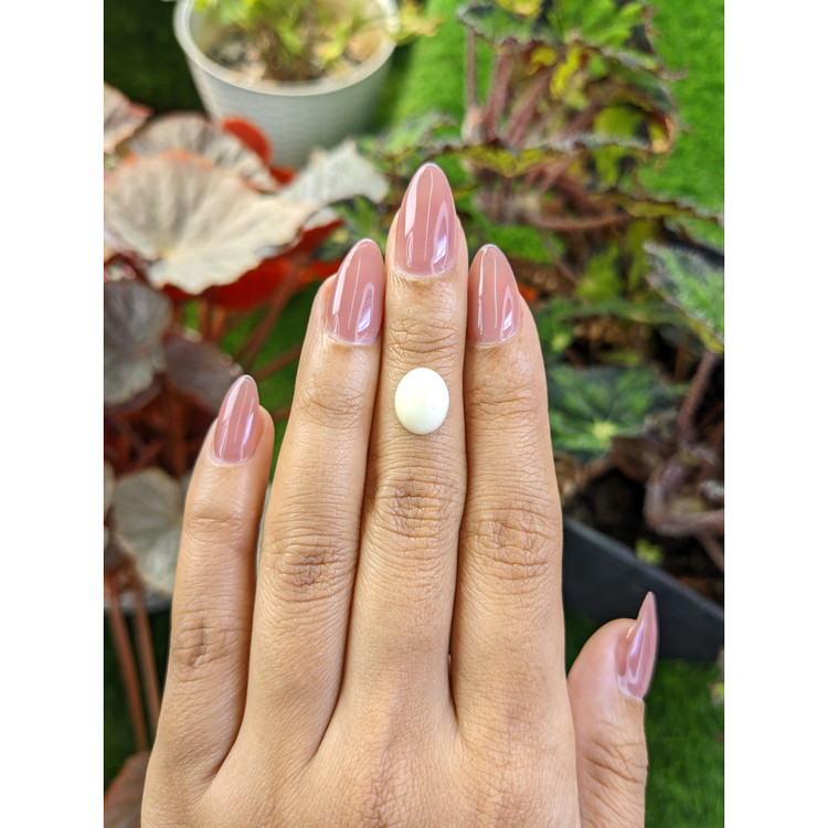 2.37 Ct. Salmon and White Cabochon Coral from Italy
