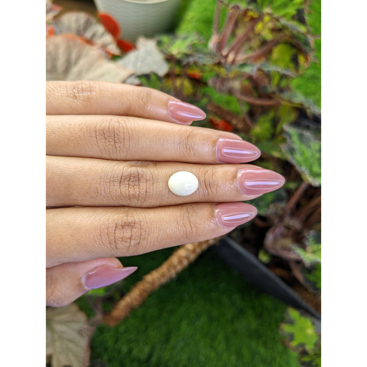 2.37 Ct. Salmon and White Cabochon Coral from Italy