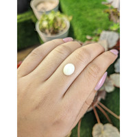 2.63 Ct. Salmon and White Cabochon Coral from Italy Life Style