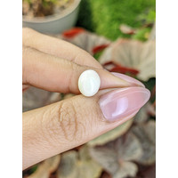 2.63 Ct. Salmon and White Cabochon Coral from Italy Life Style