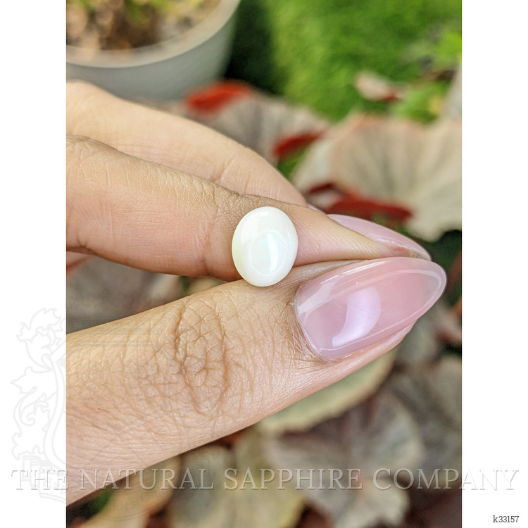 2.63 Ct. Salmon and White Cabochon Coral from Italy