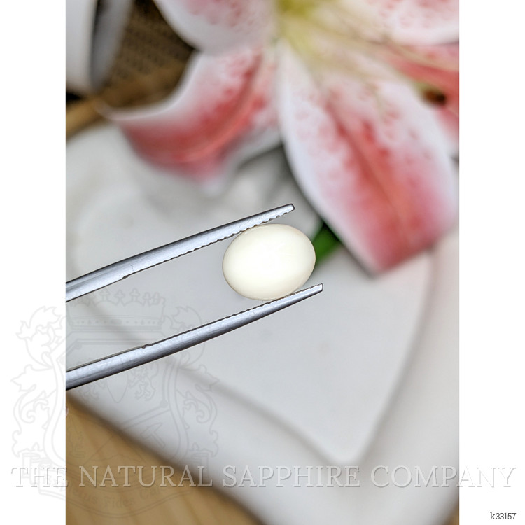 2.63 Ct. Salmon and White Cabochon Coral from Italy