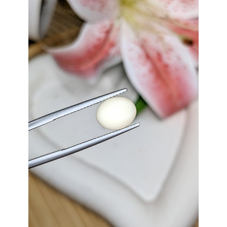 2.63 Ct. Salmon and White Cabochon Coral from Italy