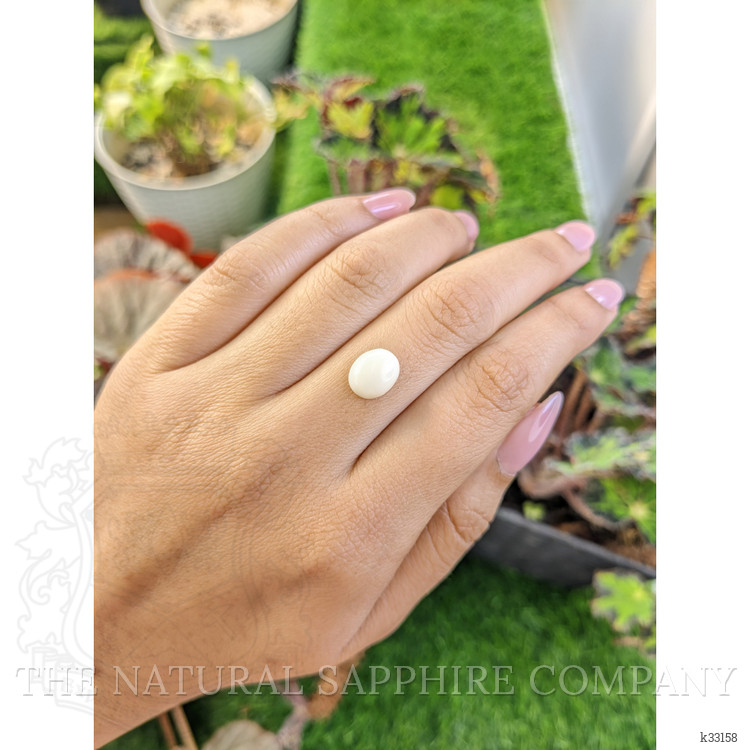 2.07 Ct. Salmon and White Cabochon Coral from Italy