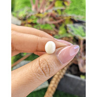 2.07 Ct. Salmon and White Cabochon Coral from Italy Life Style