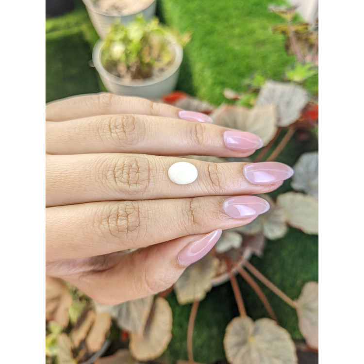 2.07 Ct. Salmon and White Cabochon Coral from Italy