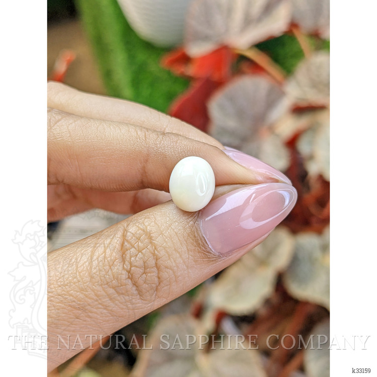 3.16 Ct. Salmon and White Cabochon Coral from Italy