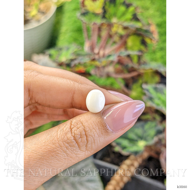 2.79 Ct. Salmon and White Cabochon Coral from Italy