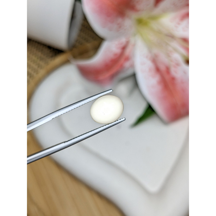 3.42 Ct. Salmon and White Cabochon Coral from Italy
