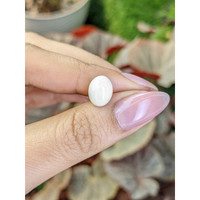 2.79 Ct. Salmon and White Cabochon Coral from Italy Life Style